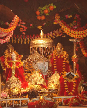 Devi Darshan Tour